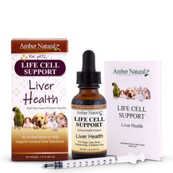 Life Cell Support to support healthy liver function