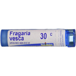 Fragaria Vesca - bad breath, tartar, plaque