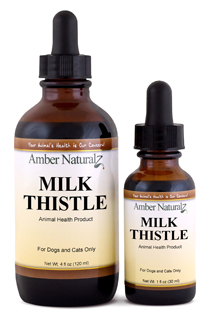 MILK THISTLE - has special antioxidants promoting liver health