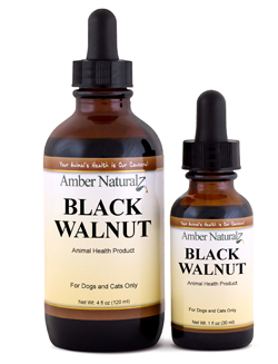 BLACK WALNUT- A safe & effective way to resist pathogens for dogs & cats.