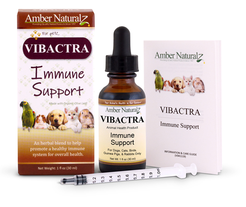 Vibactra for immune system support