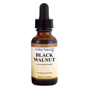 Black Walnut