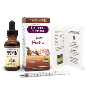 Life Cell Support